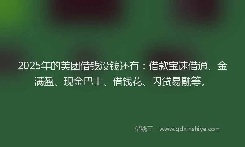 2025年的美团借钱没钱还有：借款宝速借通、金满盈、现金巴士、借钱花、闪贷易融等。