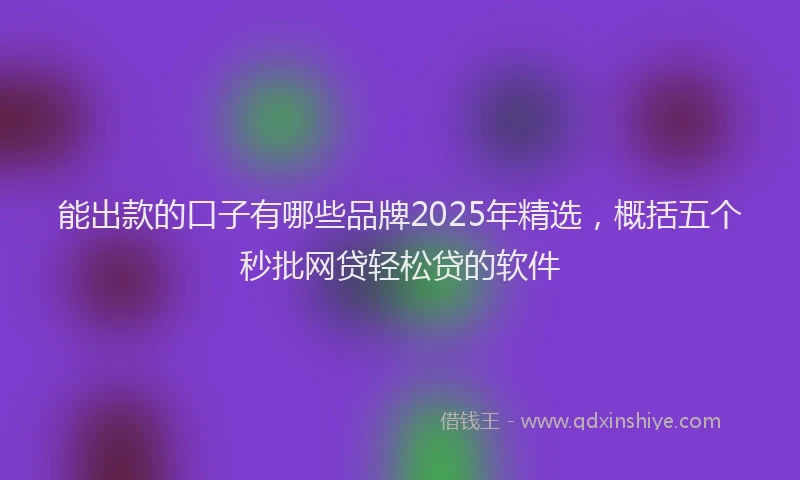 能出款的口子有哪些品牌2025年精选，概括五个秒批网贷轻松贷的软件