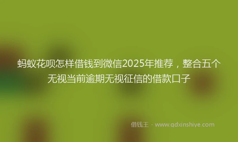 蚂蚁花呗怎样借钱到微信2025年推荐，整合五个无视当前逾期无视征信的借款口子