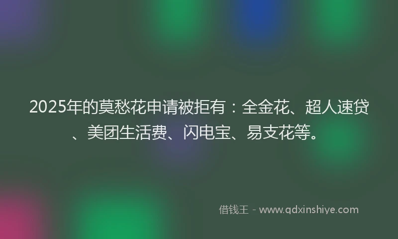 2025年的莫愁花申请被拒有：全金花、超人速贷、美团生活费、闪电宝、易支花等。