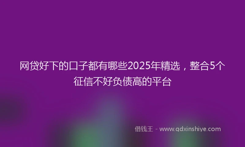 网贷好下的口子都有哪些2025年精选，整合5个征信不好负债高的平台