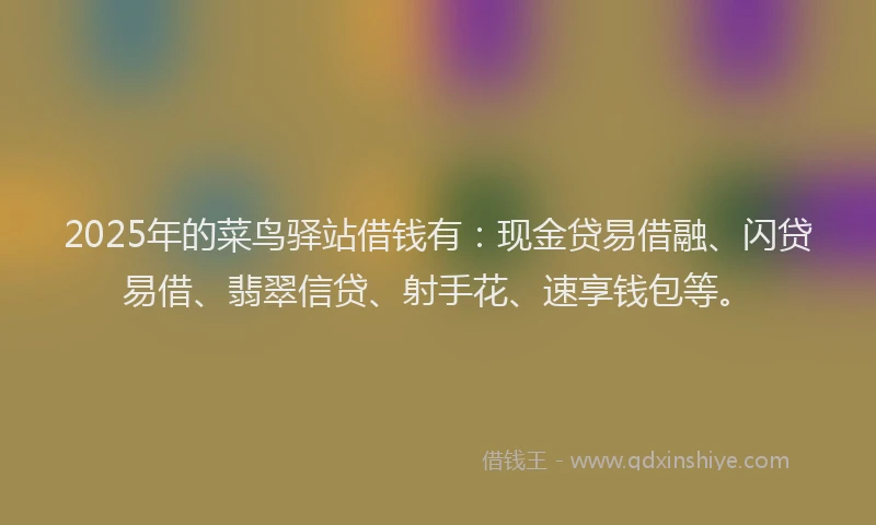 2025年的菜鸟驿站借钱有：现金贷易借融、闪贷易借、翡翠信贷、射手花、速享钱包等。