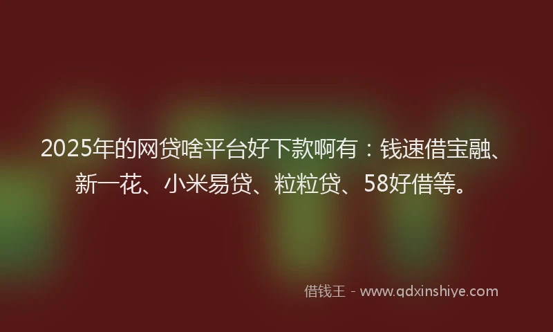 2025年的网贷啥平台好下款啊有：钱速借宝融、新一花、小米易贷、粒粒贷、58好借等。