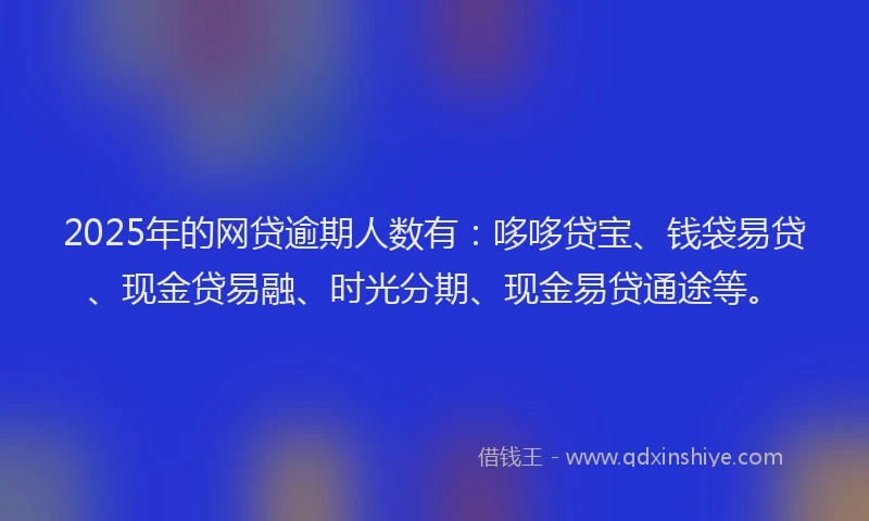 2025年的网贷逾期人数有：哆哆贷宝、钱袋易贷、现金贷易融、时光分期、现金易贷通途等。