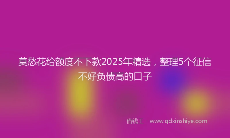 莫愁花给额度不下款2025年精选，整理5个征信不好负债高的口子
