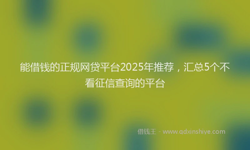 能借钱的正规网贷平台2025年推荐，汇总5个不看征信查询的平台