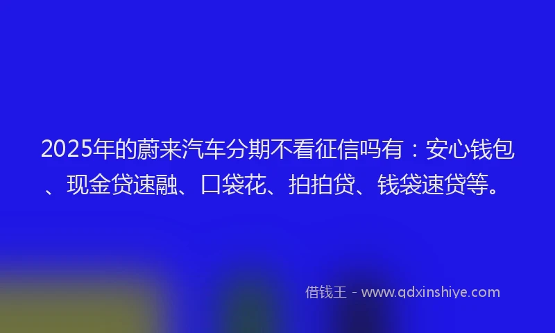 2025年的蔚来汽车分期不看征信吗有：安心钱包、现金贷速融、口袋花、拍拍贷、钱袋速贷等。