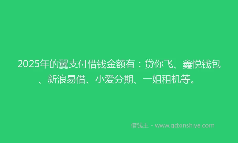 2025年的翼支付借钱金额有：贷你飞、鑫悦钱包、新浪易借、小爱分期、一姐租机等。