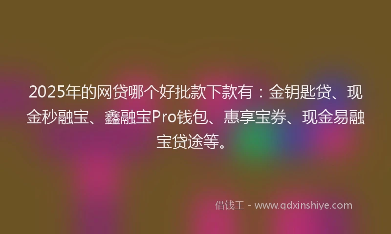 2025年的网贷哪个好批款下款有：金钥匙贷、现金秒融宝、鑫融宝Pro钱包、惠享宝券、现金易融宝贷途等。