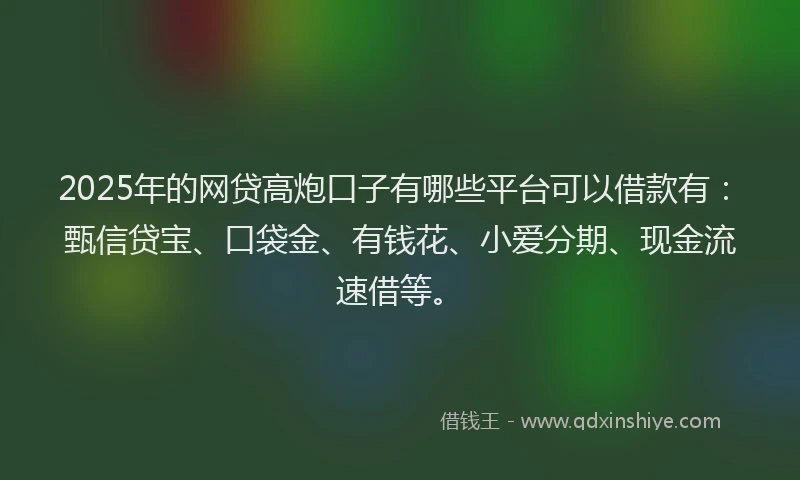 2025年的网贷高炮口子有哪些平台可以借款有：甄信贷宝、口袋金、有钱花、小爱分期、现金流速借等。
