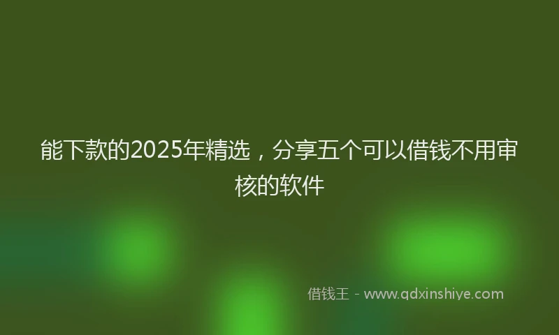 能下款的2025年精选，分享五个可以借钱不用审核的软件