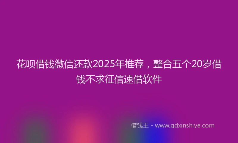 花呗借钱微信还款2025年推荐，整合五个20岁借钱不求征信速借软件