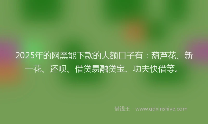 2025年的网黑能下款的大额口子有：葫芦花、新一花、还呗、借贷易融贷宝、功夫快借等。