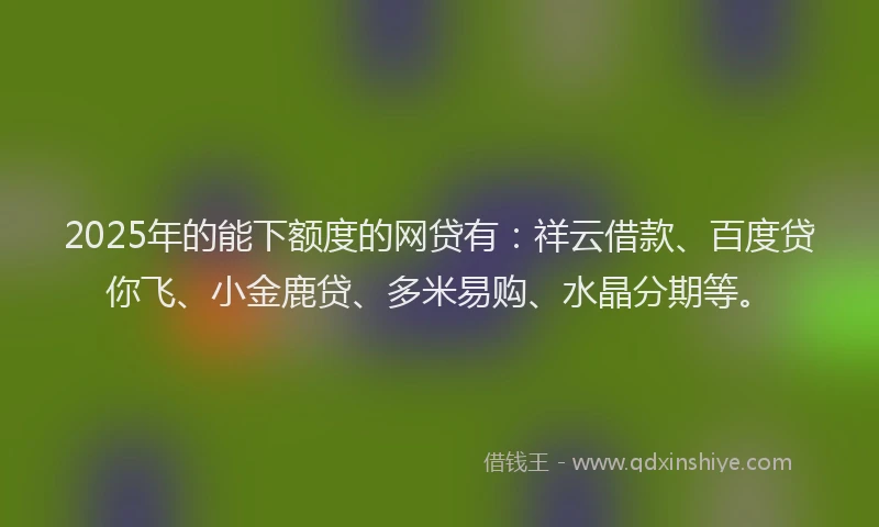 2025年的能下额度的网贷有：祥云借款、百度贷你飞、小金鹿贷、多米易购、水晶分期等。