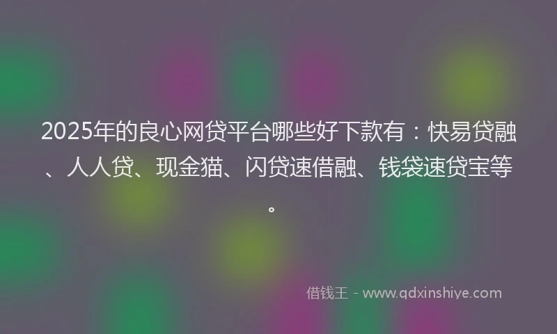 2025年的良心网贷平台哪些好下款有：快易贷融、人人贷、现金猫、闪贷速借融、钱袋速贷宝等。