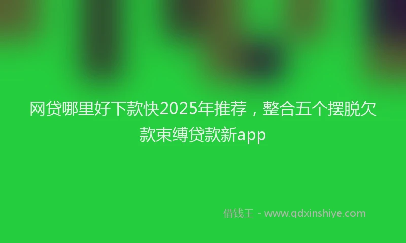 网贷哪里好下款快2025年推荐，整合五个摆脱欠款束缚贷款新app