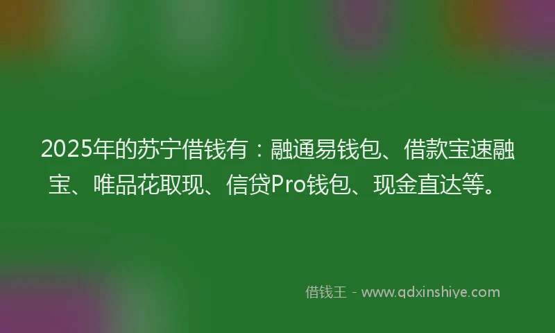 2025年的苏宁借钱有：融通易钱包、借款宝速融宝、唯品花取现、信贷Pro钱包、现金直达等。