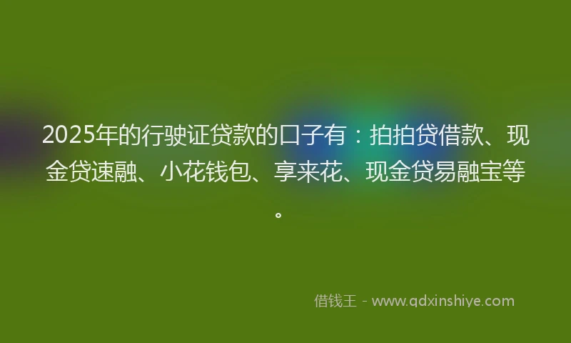 2025年的行驶证贷款的口子有：拍拍贷借款、现金贷速融、小花钱包、享来花、现金贷易融宝等。