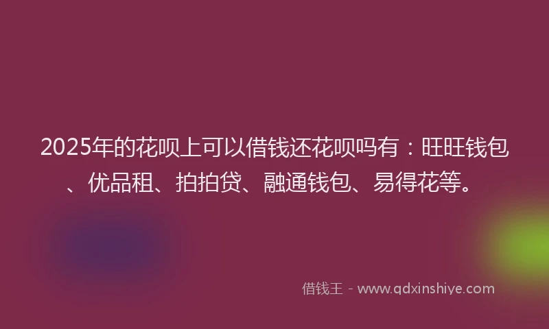 2025年的花呗上可以借钱还花呗吗有：旺旺钱包、优品租、拍拍贷、融通钱包、易得花等。