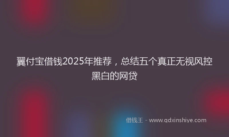 翼付宝借钱2025年推荐，总结五个真正无视风控黑白的网贷