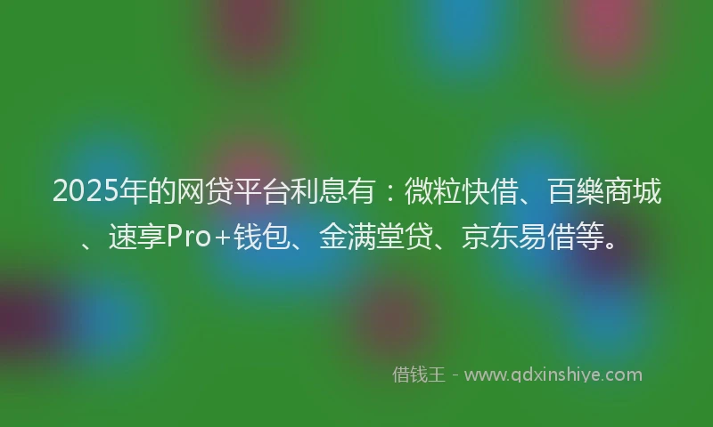 2025年的网贷平台利息有：微粒快借、百樂商城、速享Pro+钱包、金满堂贷、京东易借等。