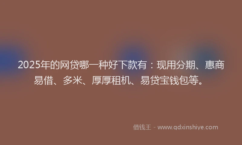 2025年的网贷哪一种好下款有：现用分期、惠商易借、多米、厚厚租机、易贷宝钱包等。