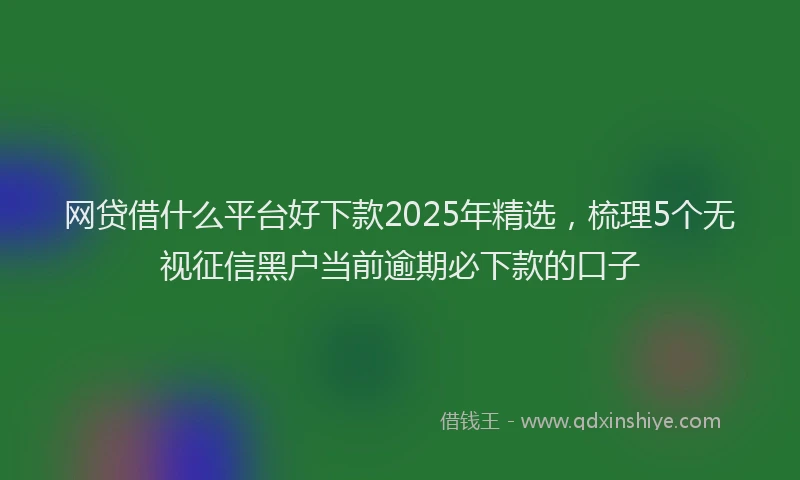 网贷借什么平台好下款2025年精选，梳理5个无视征信黑户当前逾期必下款的口子