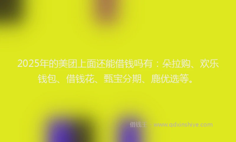 2025年的美团上面还能借钱吗有：朵拉购、欢乐钱包、借钱花、甄宝分期、鹿优选等。