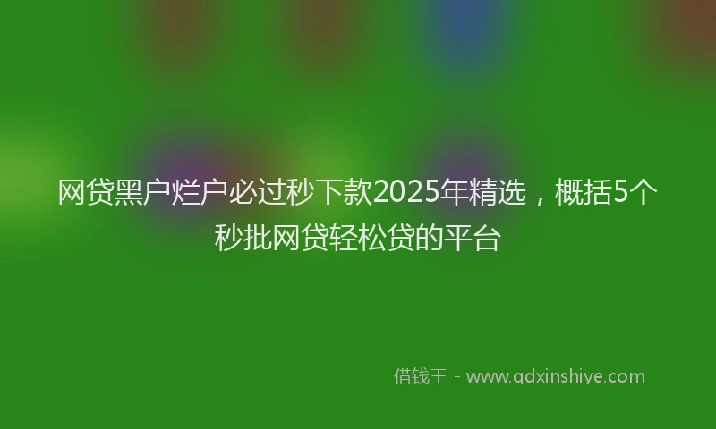 网贷黑户烂户必过秒下款2025年精选，概括5个秒批网贷轻松贷的平台
