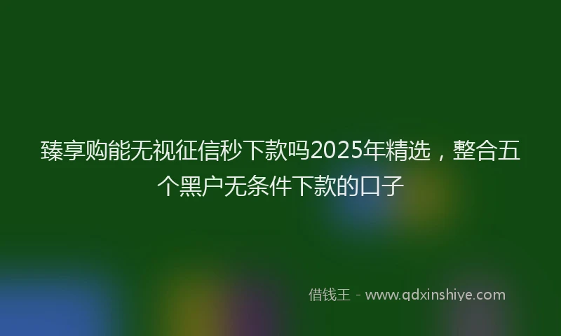 臻享购能无视征信秒下款吗2025年精选，整合五个黑户无条件下款的口子