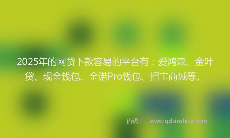 2025年的网贷下款容易的平台有：爱鸿森、金叶贷、现金钱包、金诺Pro钱包、招宝商城等。