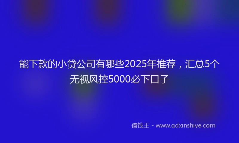 能下款的小贷公司有哪些2025年推荐，汇总5个无视风控5000必下口子