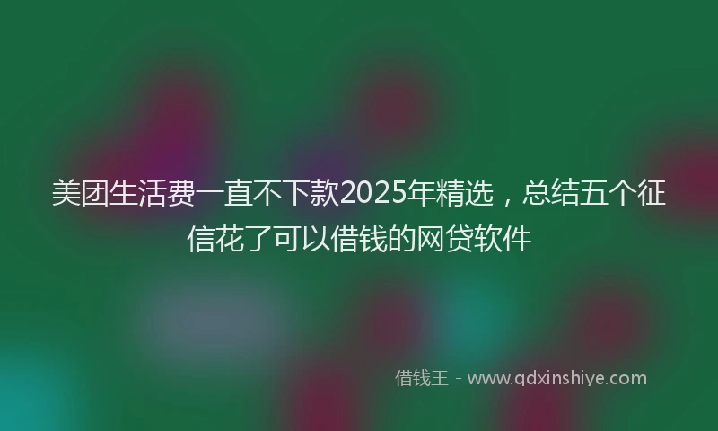 美团生活费一直不下款2025年精选，总结五个征信花了可以借钱的网贷软件