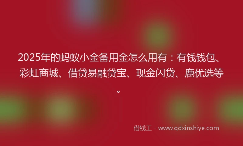 2025年的蚂蚁小金备用金怎么用有：有钱钱包、彩虹商城、借贷易融贷宝、现金闪贷、鹿优选等。