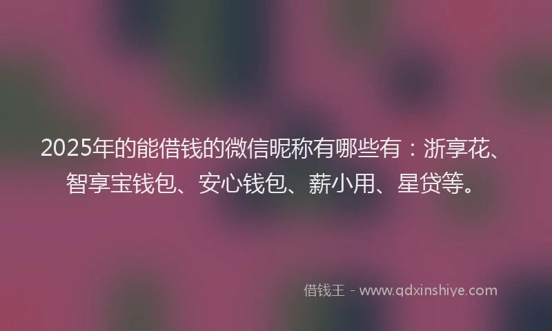 2025年的能借钱的微信昵称有哪些有：浙享花、智享宝钱包、安心钱包、薪小用、星贷等。