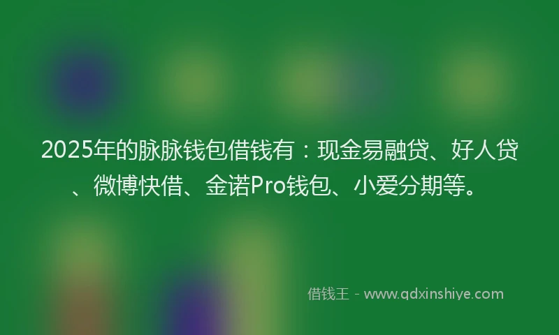 2025年的脉脉钱包借钱有：现金易融贷、好人贷、微博快借、金诺Pro钱包、小爱分期等。
