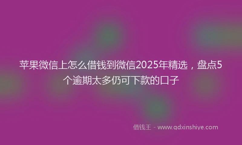 苹果微信上怎么借钱到微信2025年精选，盘点5个逾期太多仍可下款的口子