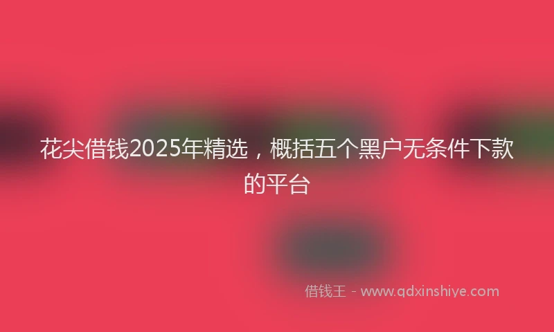 花尖借钱2025年精选，概括五个黑户无条件下款的平台