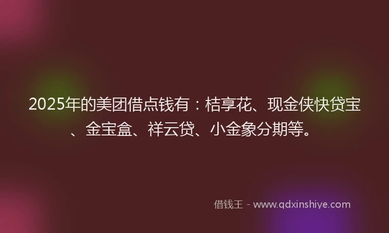 2025年的美团借点钱有：桔享花、现金侠快贷宝、金宝盒、祥云贷、小金象分期等。