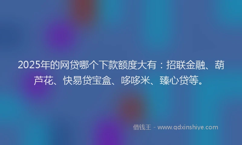 2025年的网贷哪个下款额度大有：招联金融、葫芦花、快易贷宝盒、哆哆米、臻心贷等。