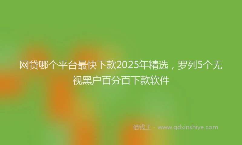 网贷哪个平台最快下款2025年精选，罗列5个无视黑户百分百下款软件