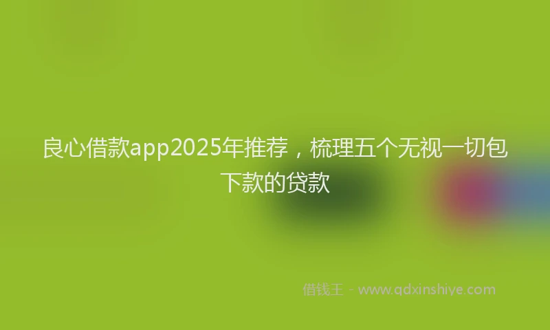 良心借款app2025年推荐，梳理五个无视一切包下款的贷款