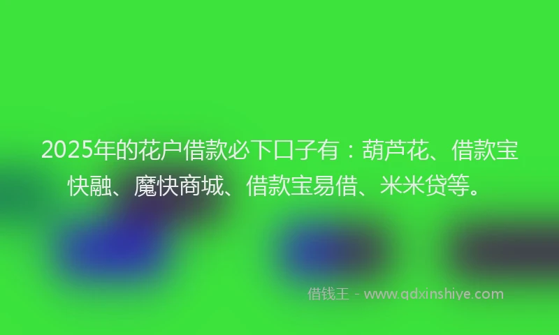 2025年的花户借款必下口子有：葫芦花、借款宝快融、魔快商城、借款宝易借、米米贷等。