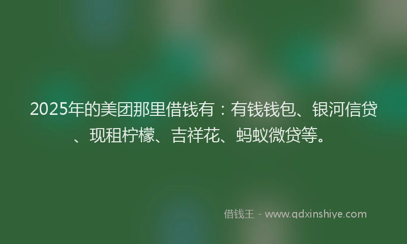 2025年的美团那里借钱有：有钱钱包、银河信贷、现租柠檬、吉祥花、蚂蚁微贷等。