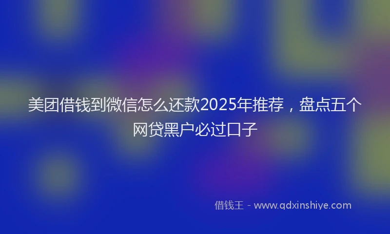 美团借钱到微信怎么还款2025年推荐，盘点五个网贷黑户必过口子