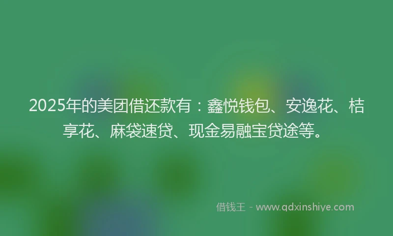 2025年的美团借还款有：鑫悦钱包、安逸花、桔享花、麻袋速贷、现金易融宝贷途等。