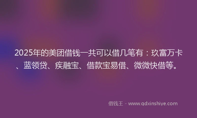 2025年的美团借钱一共可以借几笔有：玖富万卡、蓝领贷、疾融宝、借款宝易借、微微快借等。