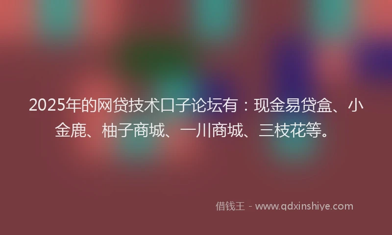 2025年的网贷技术口子论坛有：现金易贷盒、小金鹿、柚子商城、一川商城、三枝花等。
