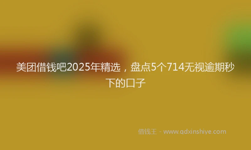 美团借钱吧2025年精选，盘点5个714无视逾期秒下的口子