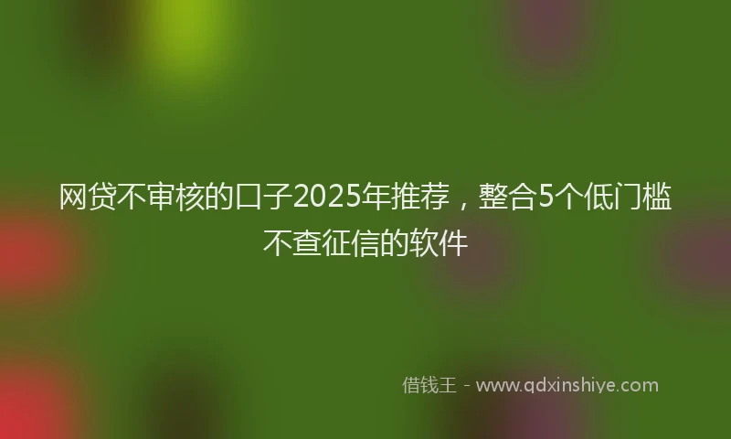 网贷不审核的口子2025年推荐，整合5个低门槛不查征信的软件